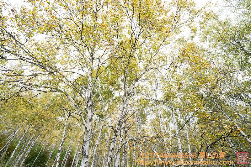 ../Images/7R251013 (2).jpg